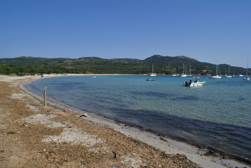 La Plage De Rondinara Lendroit Idéal Pour Lézarder Sous Le